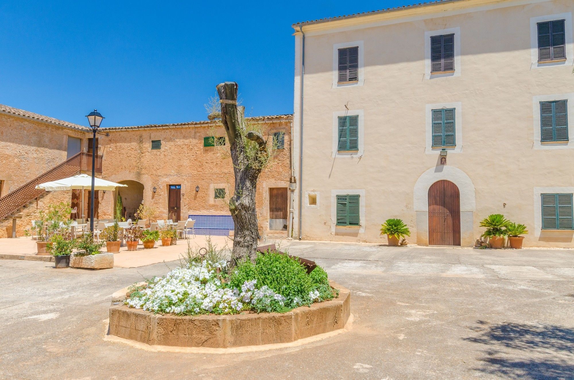 Sureda Es Porquer Manacor (Mallorca)